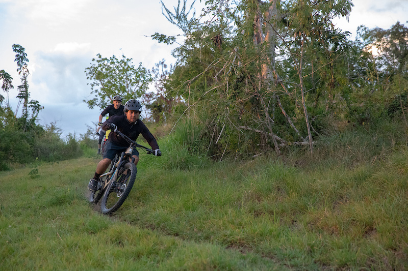 Jeff Kendall-Weed's Local Loam series visits Puerto Rico!