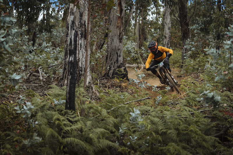 From high alpine, to fast, fun turns between the Eucalyptus trees.