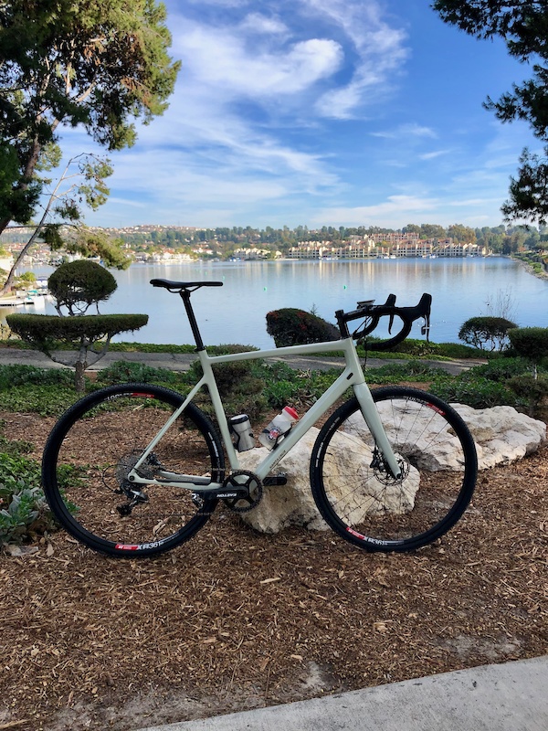 santa cruz stigmata for sale