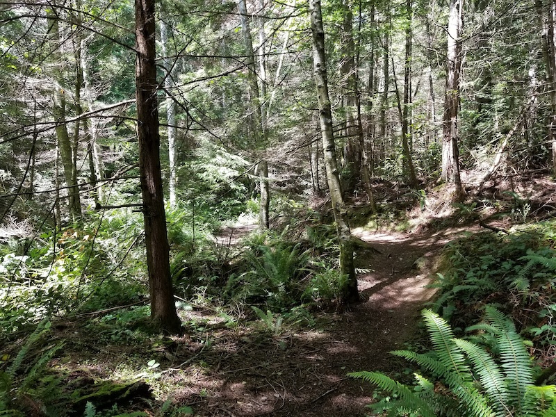 205 Mountain Biking Trail - Anacortes, Washington