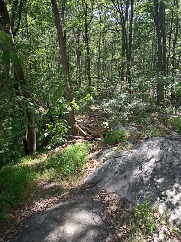 Split Rock Multi Trail Vernon, New Jersey Trailforks