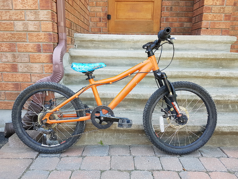 kona shred 2.0