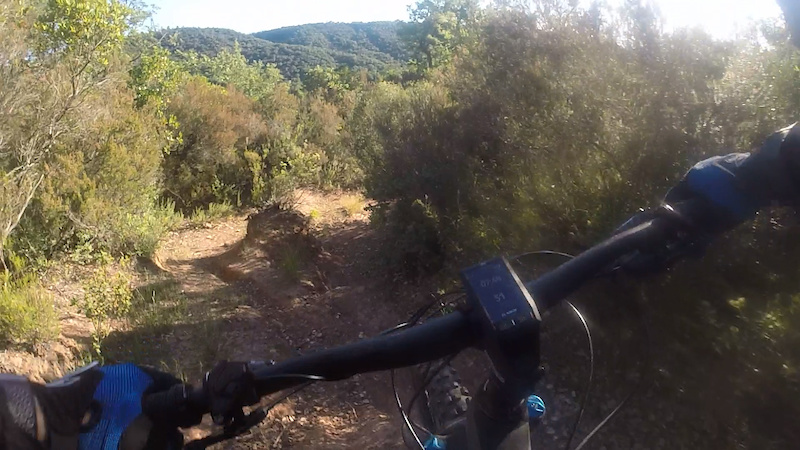 radio flyer ready to ride folding trike
