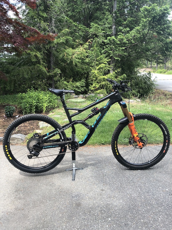 cannondale jekyll 2018