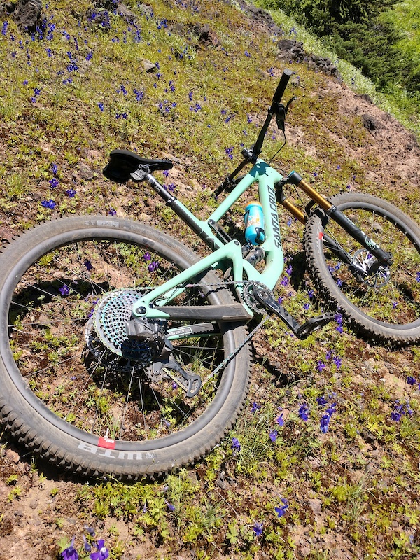 Ibis Ripmo or SC Hightower Pinkbike Forum