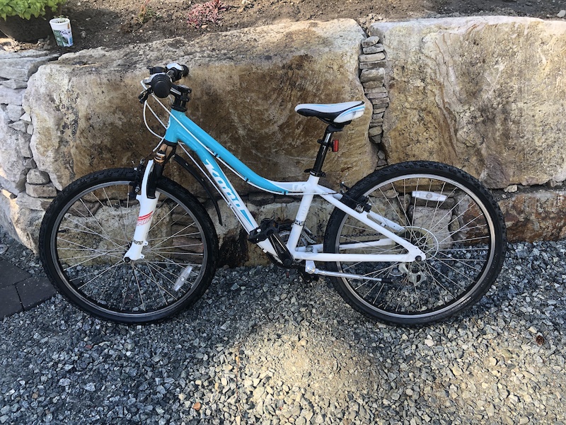 kona hula