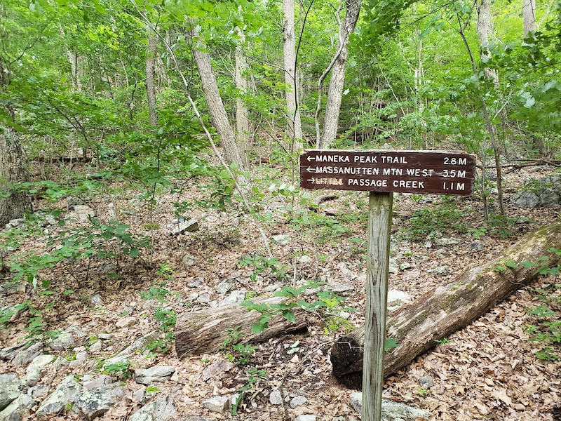 Bear Wallow Trail Mountain Biking Trail Luray, VA