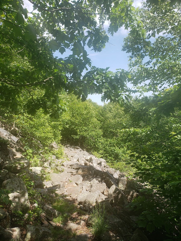 Timber Ridge Trail Mountain Biking Trail Staunton