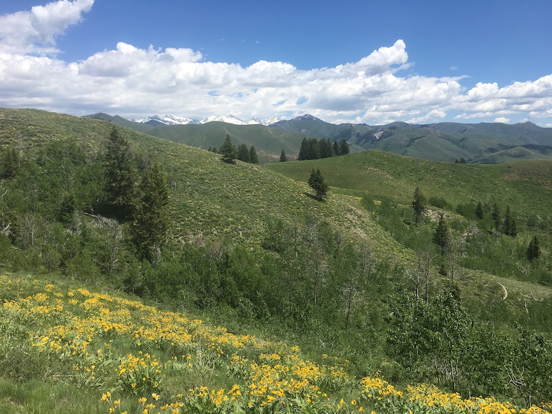 Adams Gulch Loop Mountain Biking Route Trailforks