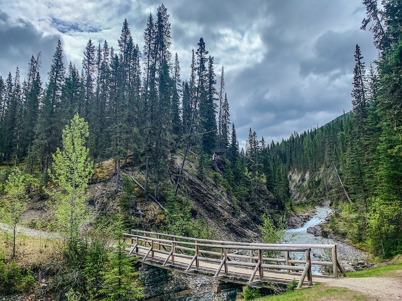 mountain bike route near me