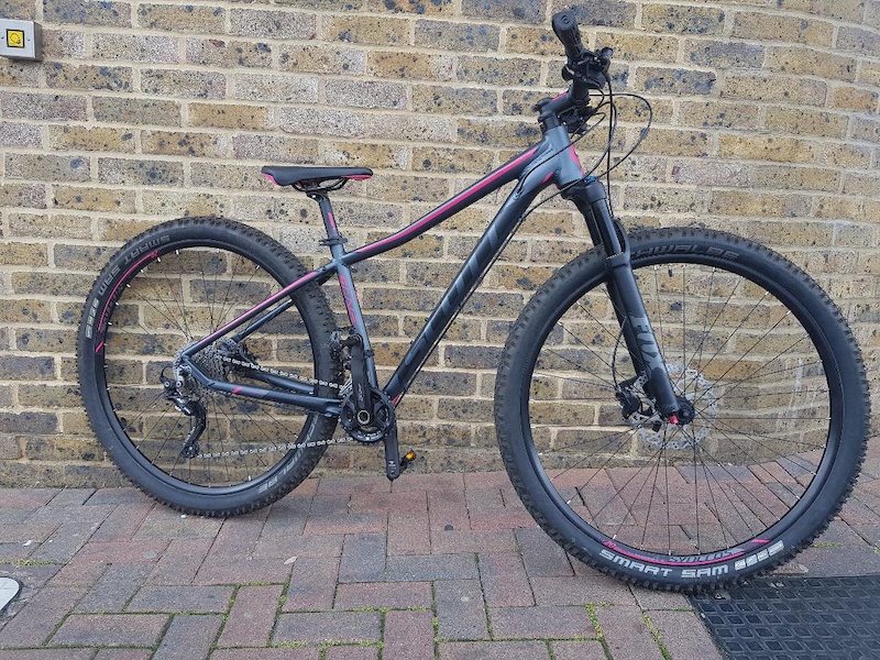 scott contessa scale 10