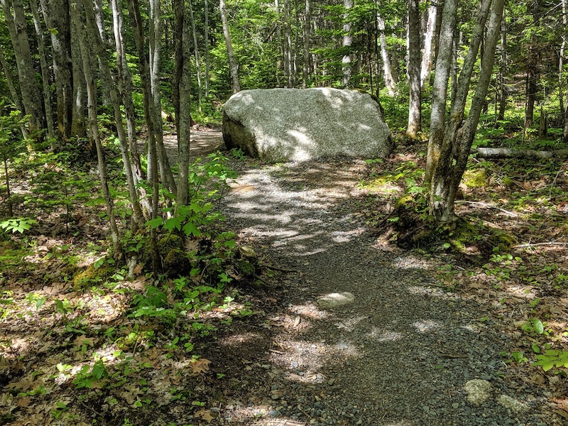 InnOut Multi Trail Halifax, Nova Scotia Trailforks