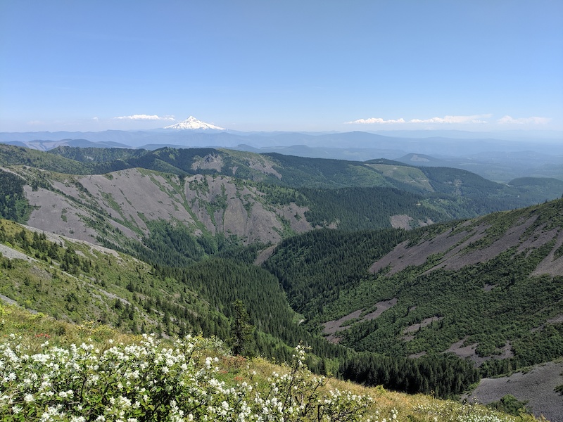 Bluff Mountain Multi Trail - North Bonneville, Washington