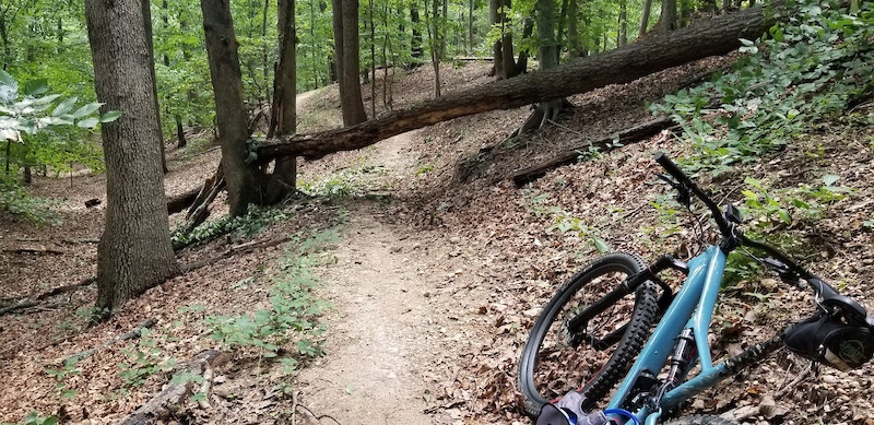 laurel hill mountain bike trails