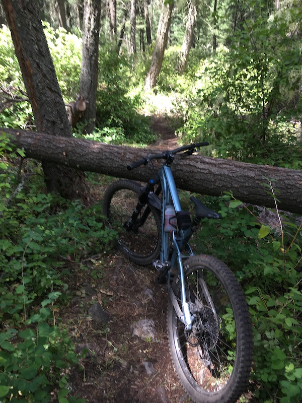 Freaky Creeky Mountain Biking Trail Vernon, BC