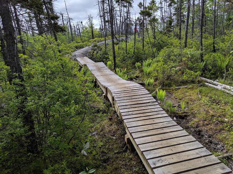 Flat Lake Multi Trail Halifax, Nova Scotia