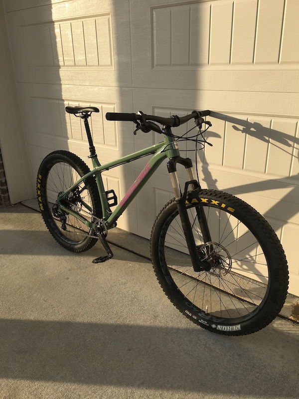 santa cruz chameleon d 