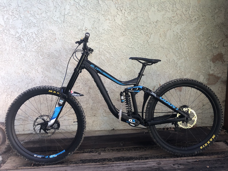 giant glory for sale