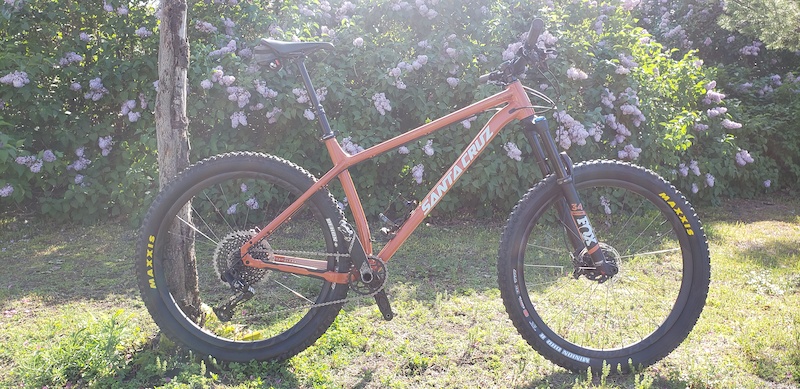 used santa cruz chameleon for sale