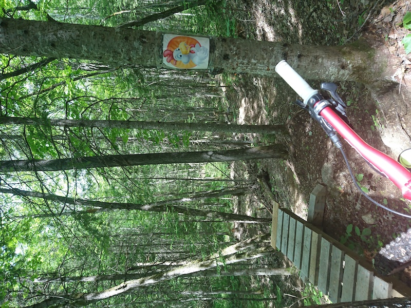 sentence-mountain-biking-trail-saint-c-me-quebec