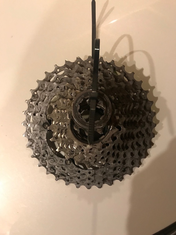 12 speed slx cassette