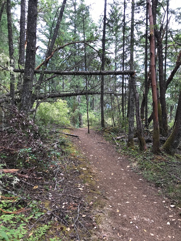 a line mountain biking