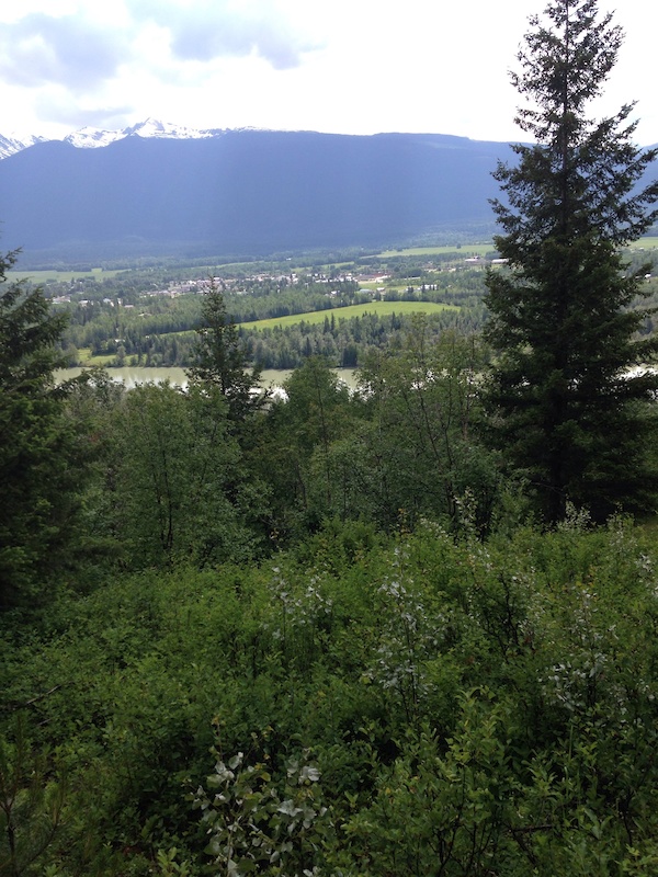 All In Mountain Biking Trail McBride, British Columbia