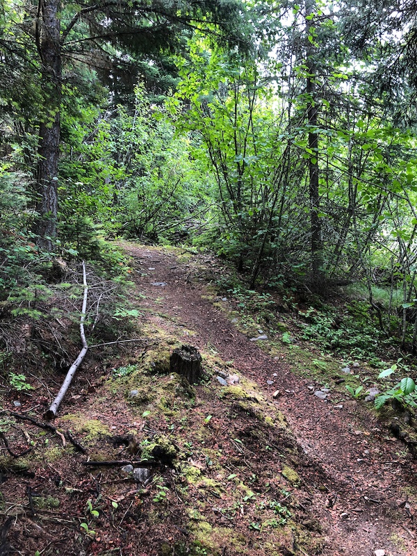 High Rim Trail to Vernon, Kelowna Mountain Biking Trails Trailforks