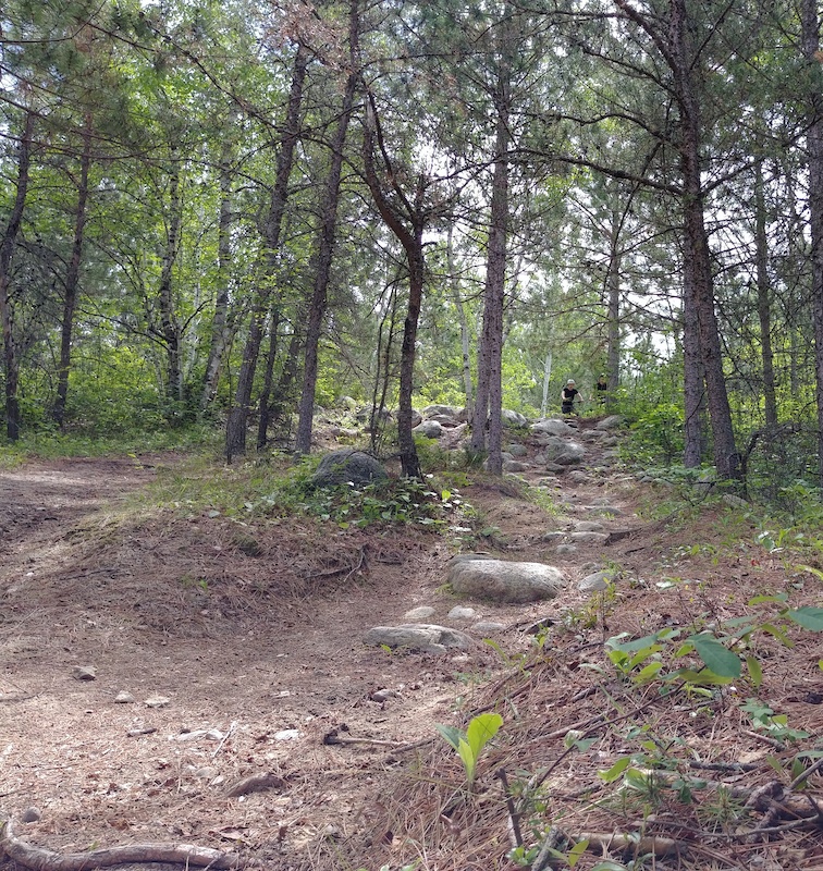 Grand Beach Hiking Trails Ancient Beach Self-Guiding Trail Hiking Trail - Grand Marais