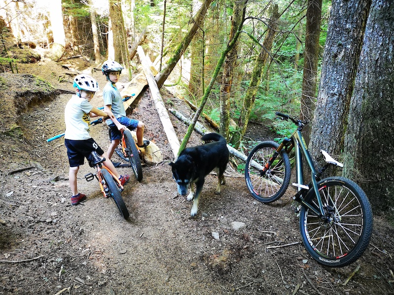 Lumberjack's Multi Trail Squamish, British Columbia