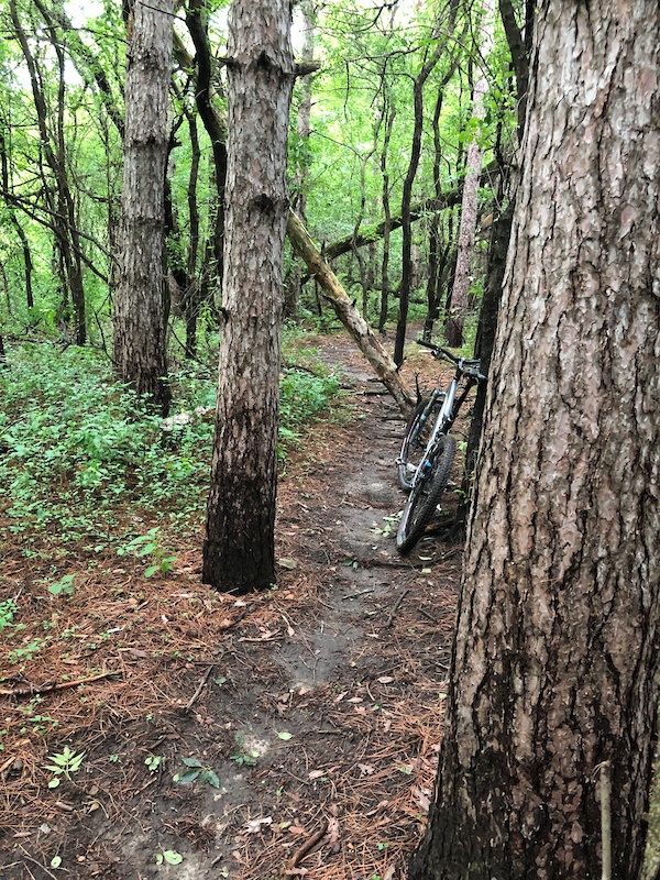 Needles Mountain Biking Trail Rochester, Minnesota