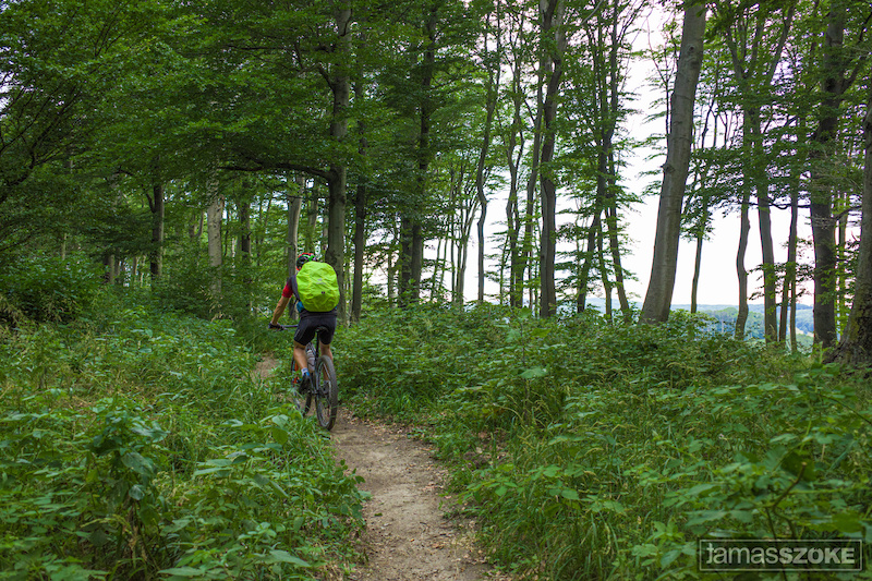 Oberer Roan Mountain Biking Trail Vienna Trailforks