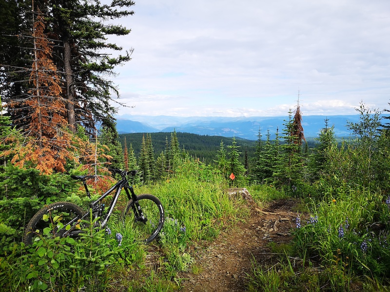 Corkscrew Multi Trail - Vernon, British Columbia