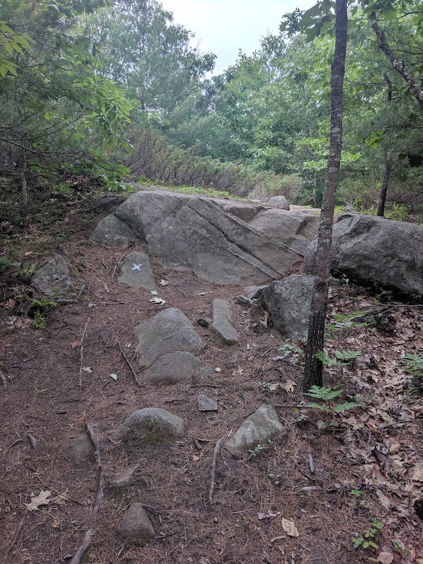 XTrail (Racer X) Mountain Biking Trail Exeter, NH