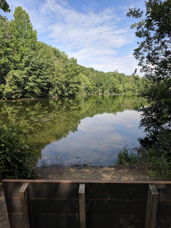 Haledon Reservoir White Trail Mountain Biking Trail Wayne