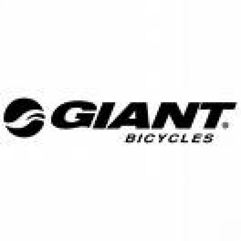 giant bikes
