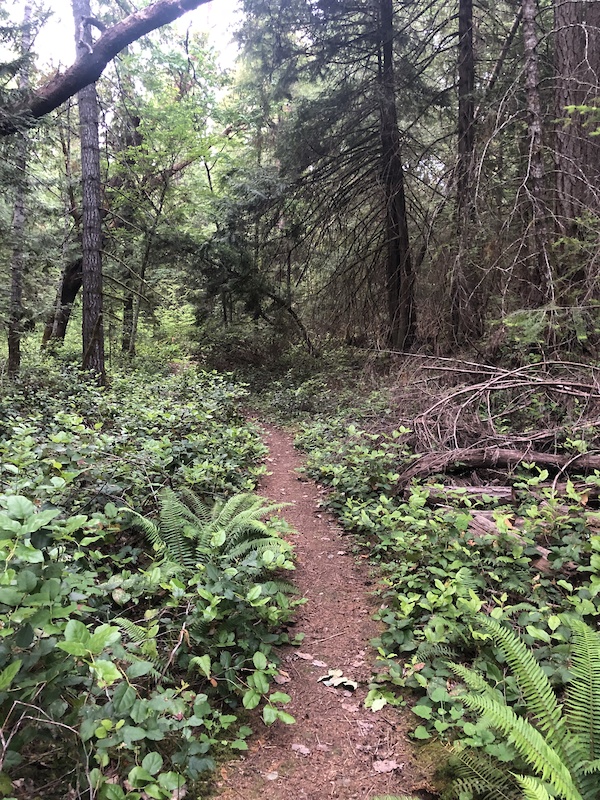 Thetis Island, British Columbia Mountain Biking Trails Trailforks