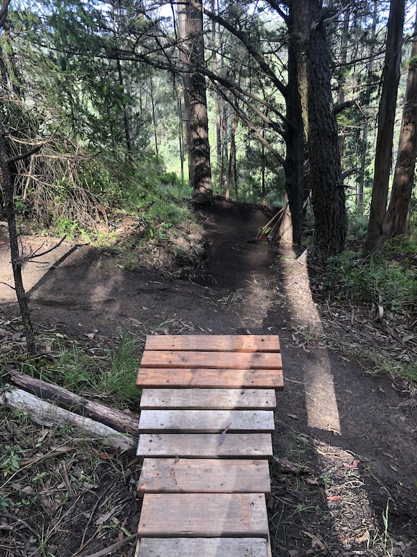 Girl Scout Mountain Biking Trail El Granada, California