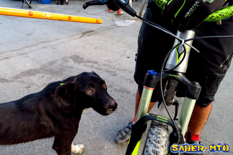 Dog Sorkheh Hesar Cycling Track