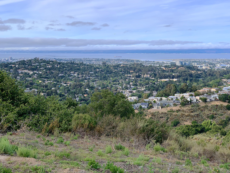 John Brooks Trail Multi Trail Belmont, California