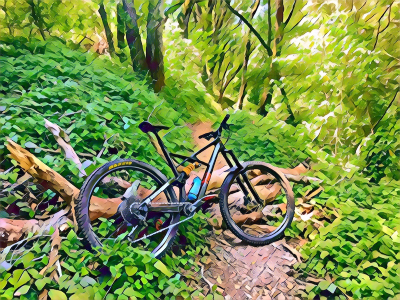 DeLaveaga Park Mountain Biking Trails Trailforks