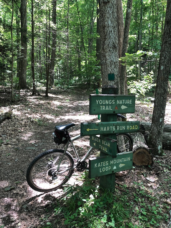 Greenbrier State Forest Mountain Biking Trails Trailforks