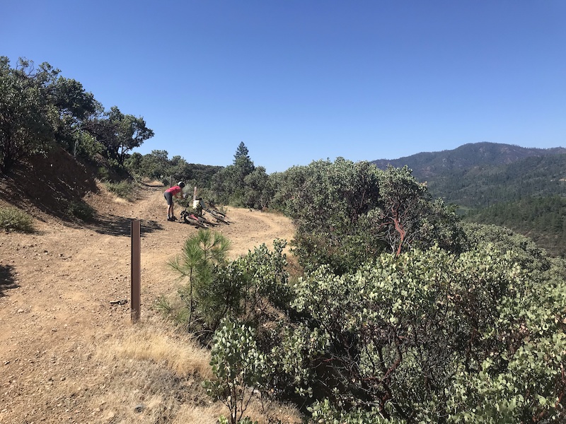 Shasta Dam to Walker Mine Rd Mountain Biking Route | Trailforks