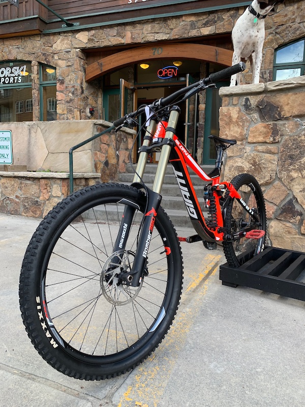 2018 giant glory 1