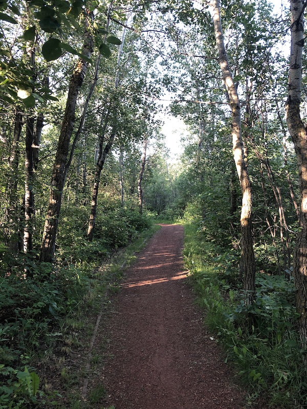 Red Leader Mountain Biking Trail Edmonton, Alberta