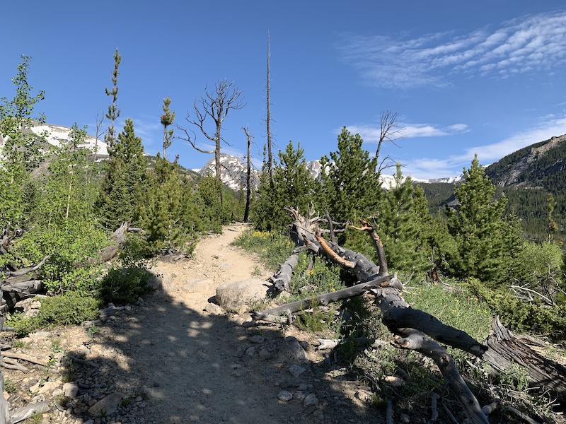 Bluebird Lake Hiking Trail - Estes Park, Colorado