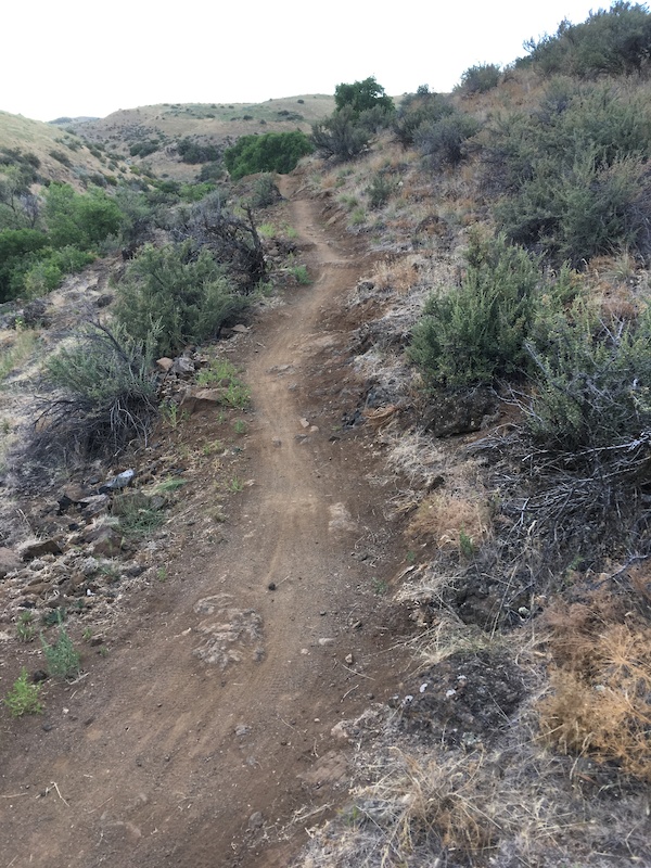 Landslide Loop Multi Trail Boise, Idaho Trailforks