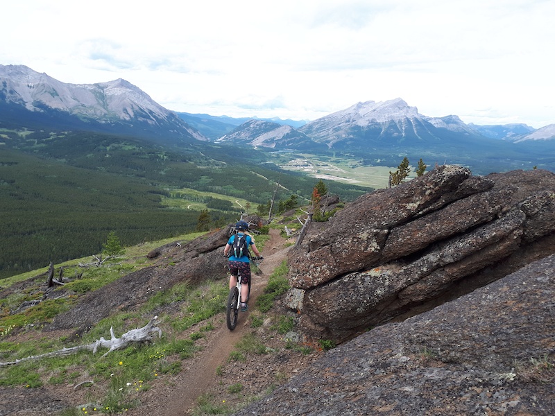 Big Bear Down Mountain Biking Trail - Coleman, Alberta