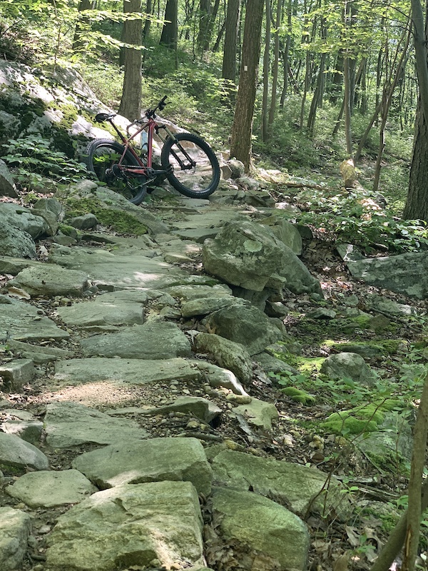 www.trailforks.com