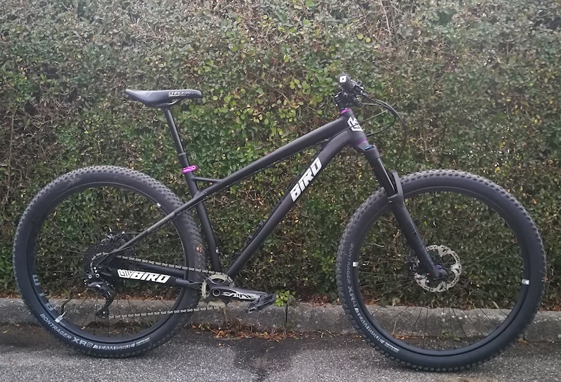 bird zero 29er